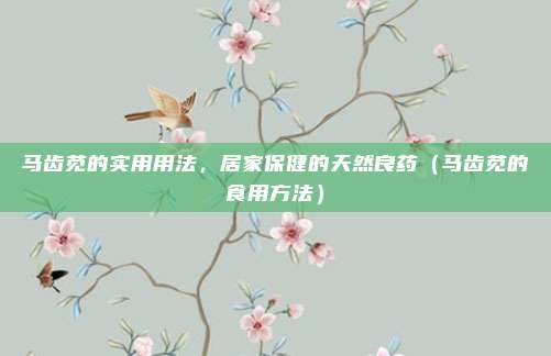 马齿苋的实用用法,居家保健的天然良药(马齿苋的食用方法)