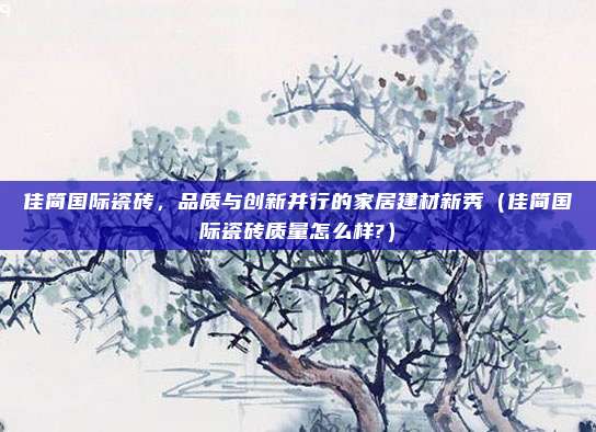 佳简国际瓷砖,品质与创新并行的家居建材新秀(佳简国际瓷砖质量怎么样?)