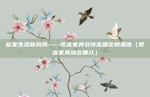 居家生活新风尚——视高家具引领高端定制潮流（视高家具城在哪儿）