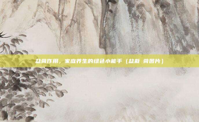 盆荷作用，家庭养生的绿色小能手（盆栽蒪荷图片）