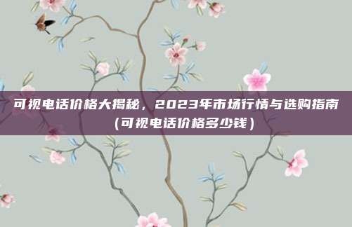 可视电话价格大揭秘，2023年市场行情与选购指南（可视电话价格多少钱）