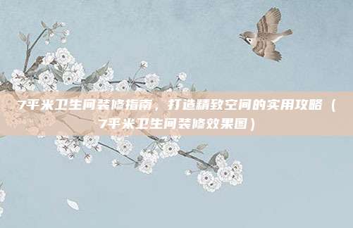 7平米卫生间装修指南，打造精致空间的实用攻略（7平米卫生间装修效果图）