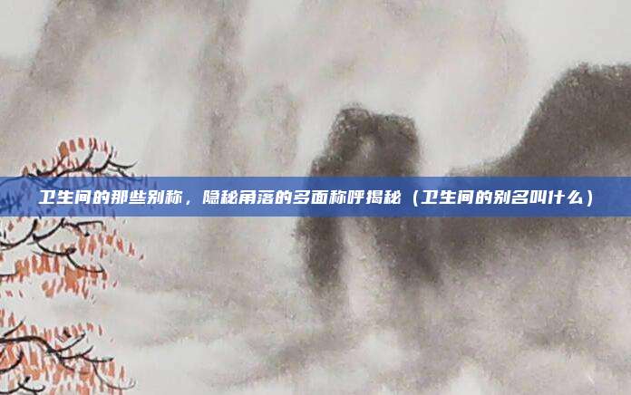 卫生间的那些别称,隐秘角落的多面称呼揭秘(卫生间的别名叫什么)