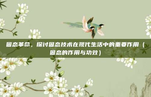 固态革命,探讨固态技术在现代生活中的重要作用(固态的作用与功效)