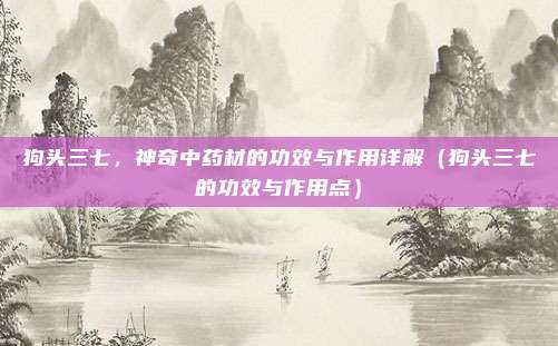 狗头三七,神奇中药材的功效与作用详解(狗头三七的功效与作用点)