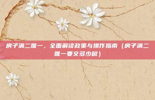 房子满二唯一，全面解读政策与操作指南（房子满二唯一要交多少税）