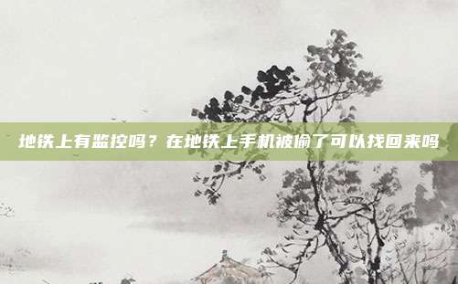 地铁上有监控吗?在地铁上手机被偷了可以找回来吗