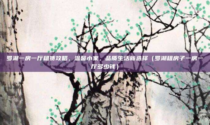 罗湖一房一厅租赁攻略,温馨小家,品质生活新选择(罗湖租房子一房一厅多少钱)