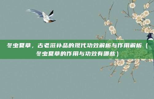 冬虫夏草，古老滋补品的现代功效解析与作用解析（冬虫夏草的作用与功效有哪些）
