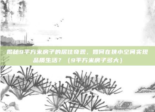 揭秘9平方米房子的居住奇观，如何在狭小空间实现品质生活？（9平方米房子多大）