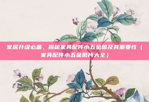 家居升级必备,揭秘家具配件小五金图及其重要性(家具配件小五金图片大全)