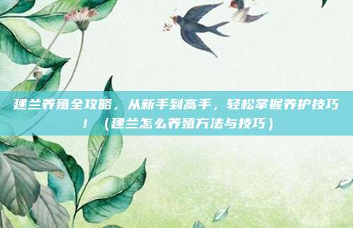 建兰养殖全攻略,从新手到高手,轻松掌握养护技巧!(建兰怎么养殖方法与技巧)
