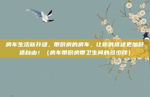 房车生活新升级,带厨房的房车,让你的旅途更加舒适自由!(房车带厨房带卫生间的多少钱)