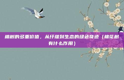 棉树的多重价值,从纤维到生态的绿色奇迹(棉花树有什么作用)
