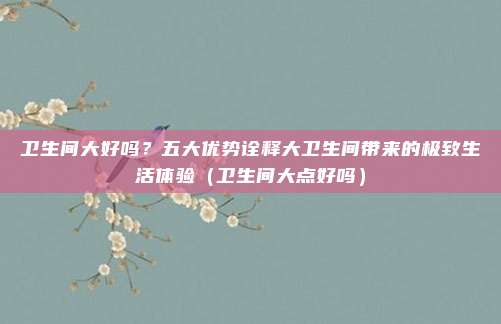 卫生间大好吗?五大优势诠释大卫生间带来的极致生活体验(卫生间大点好吗)