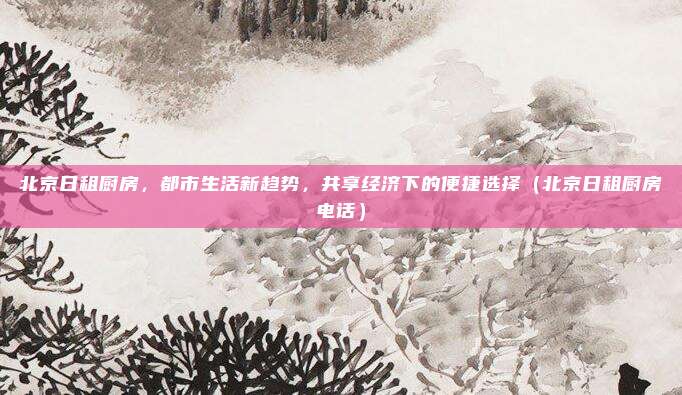 北京日租厨房,都市生活新趋势,共享经济下的便捷选择(北京日租厨房电话)