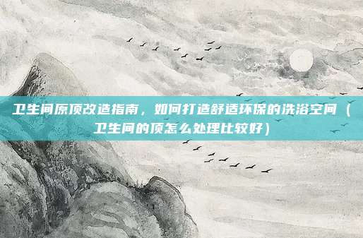 卫生间原顶改造指南,如何打造舒适环保的洗浴空间(卫生间的顶怎么处理比较好)