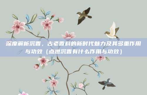 深度解析沉香,古老香料的新时代魅力及其多重作用与功效(点燃沉香有什么作用与功效)