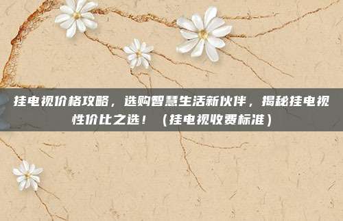 挂电视价格攻略，选购智慧生活新伙伴，揭秘挂电视性价比之选！（挂电视收费标准）