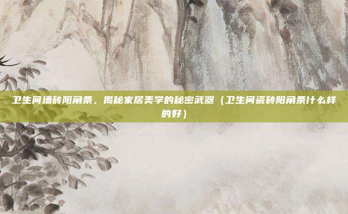 卫生间墙砖阳角条，揭秘家居美学的秘密武器（卫生间瓷砖阳角条什么样的好）