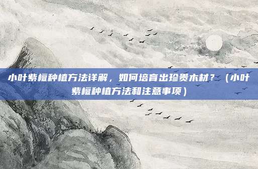 小叶紫檀种植方法详解,如何培育出珍贵木材?(小叶紫檀种植方法和注意事项)