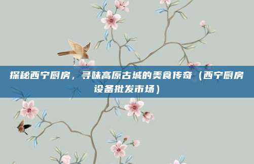 探秘西宁厨房，寻味高原古城的美食传奇（西宁厨房设备批发市场）