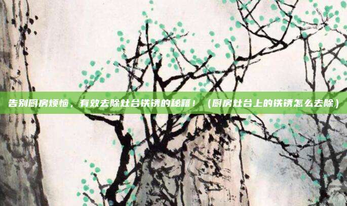 告别厨房烦恼,有效去除灶台铁锈的秘籍!(厨房灶台上的铁锈怎么去除)