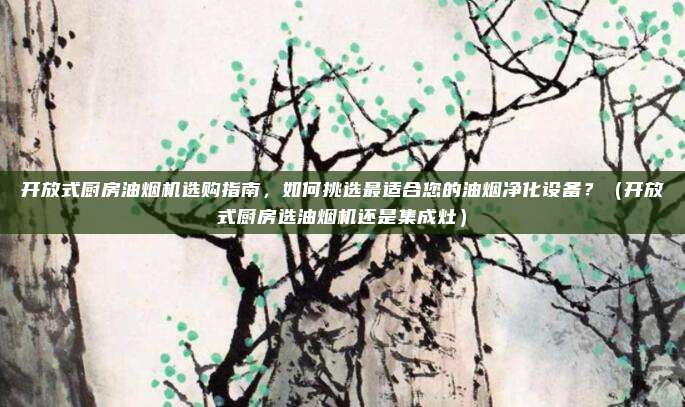 开放式厨房油烟机选购指南，如何挑选最适合您的油烟净化设备？（开放式厨房选油烟机还是集成灶）