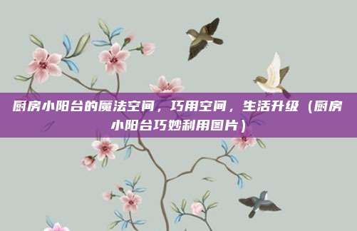 厨房小阳台的魔法空间，巧用空间，生活升级（厨房小阳台巧妙利用图片）