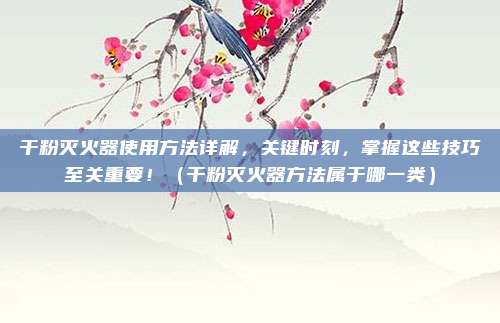干粉灭火器使用方法详解，关键时刻，掌握这些技巧至关重要！（干粉灭火器方法属于哪一类）