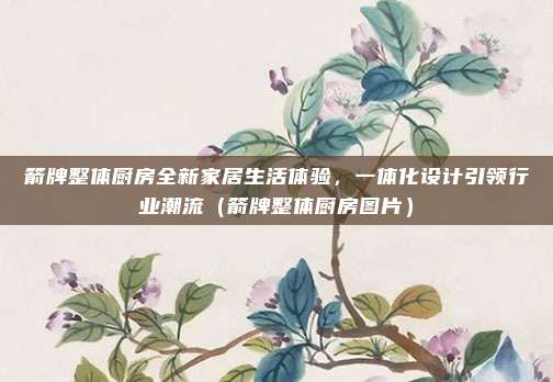 箭牌整体厨房全新家居生活体验,一体化设计引领行业潮流(箭牌整体厨房图片)