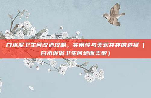 白水泥卫生间改造攻略,实用性与美观并存的选择(白水泥做卫生间地面美缝)