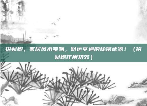 招财树，家居风水宝物，财运亨通的秘密武器！（招财树作用功效）