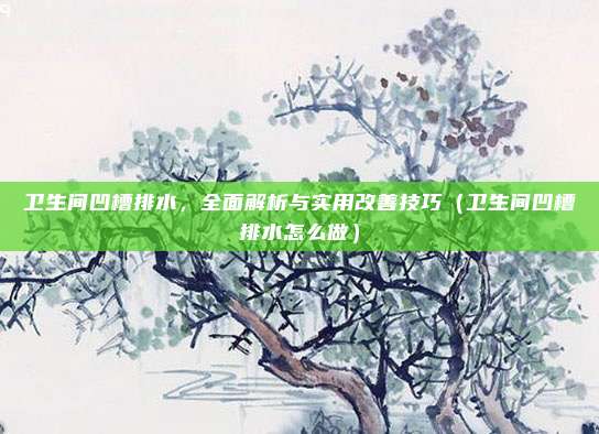 卫生间凹槽排水,全面解析与实用改善技巧(卫生间凹槽排水怎么做)