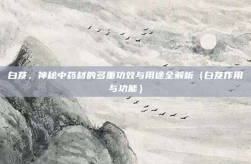 白芨,神秘中药材的多重功效与用途全解析(白芨作用与功能)