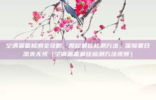 空调漏氟检测全攻略,揭秘最佳检测方法,保障夏日凉爽无忧(空调漏氟最佳检测方法视频)