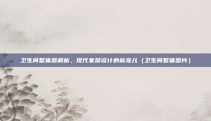 卫生间整体图解析，现代家居设计的新宠儿（卫生间整体图片）