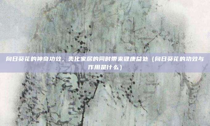 向日葵花的神奇功效,美化家居的同时带来健康益处(向日葵花的功效与作用是什么)