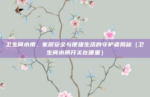 卫生间水闸,家居安全与便捷生活的守护者揭秘(卫生间水闸开关在哪里)