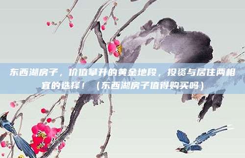 东西湖房子，价值攀升的黄金地段，投资与居住两相宜的选择！（东西湖房子值得购买吗）