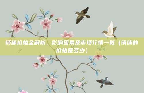 锁体价格全解析,影响因素及市场行情一览(锁体的价格是多少)