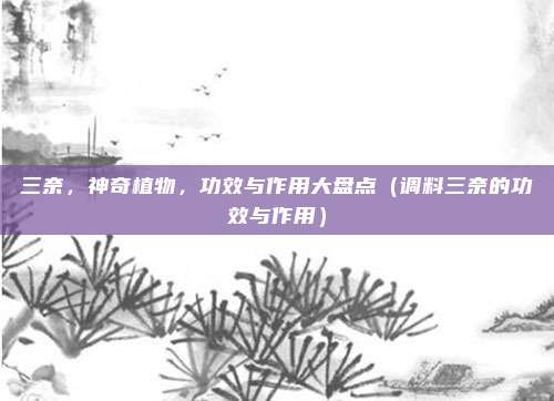 三奈，神奇植物，功效与作用大盘点（调料三奈的功效与作用）