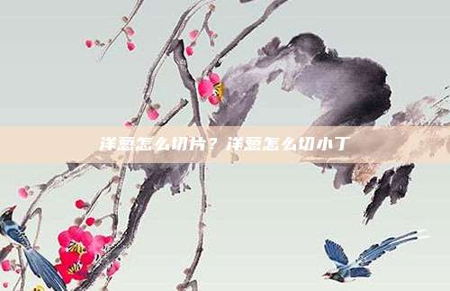 洋葱怎么切片?洋葱怎么切小丁