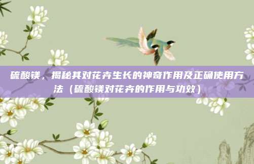 硫酸镁，揭秘其对花卉生长的神奇作用及正确使用方法（硫酸镁对花卉的作用与功效）