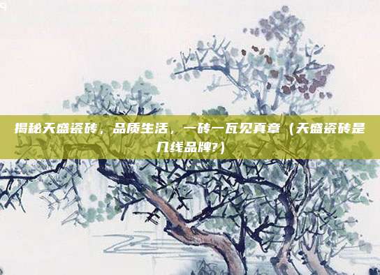 揭秘天盛瓷砖,品质生活,一砖一瓦见真章(天盛瓷砖是几线品牌?)