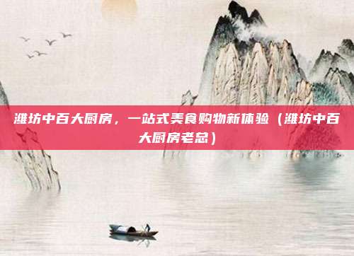 潍坊中百大厨房,一站式美食购物新体验(潍坊中百大厨房老总)
