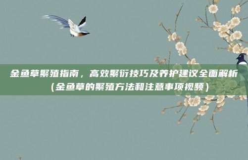 金鱼草繁殖指南,高效繁衍技巧及养护建议全面解析(金鱼草的繁殖方法和注意事项视频)