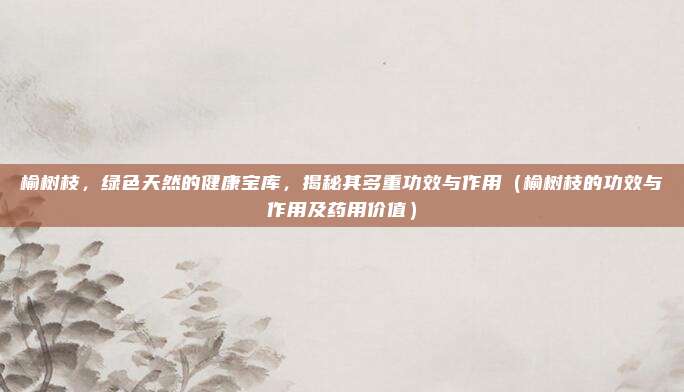 榆树枝,绿色天然的健康宝库,揭秘其多重功效与作用(榆树枝的功效与作用及药用价值)