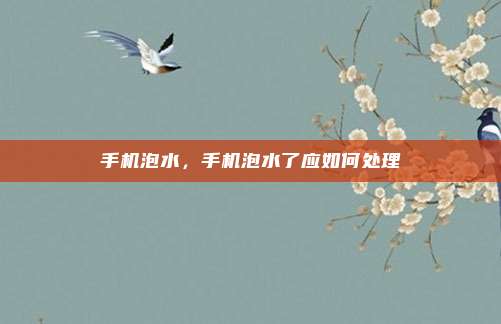手机泡水,手机泡水了应如何处理