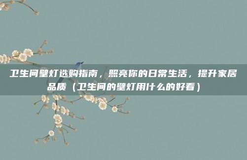 卫生间壁灯选购指南,照亮你的日常生活,提升家居品质(卫生间的壁灯用什么的好看)
